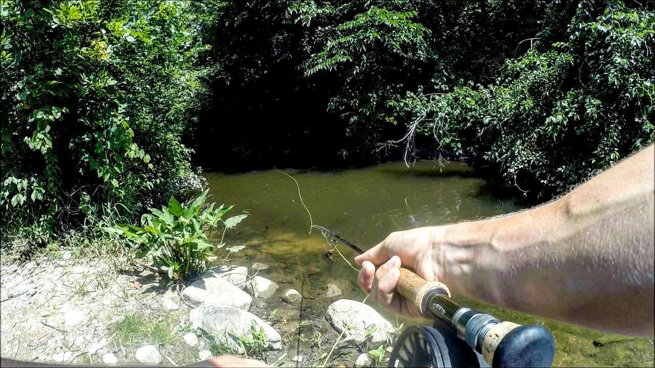 River Pike Fishing GRIND!