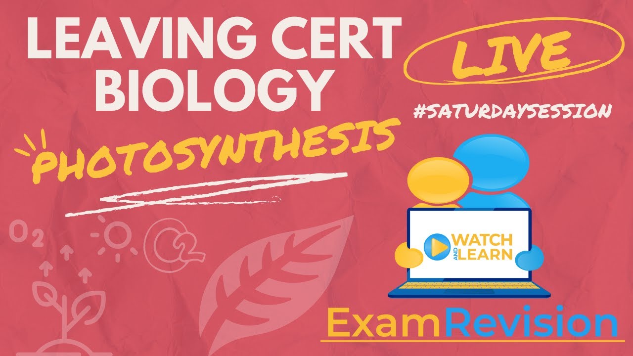 Leaving Cert Biology - Photosynthesis