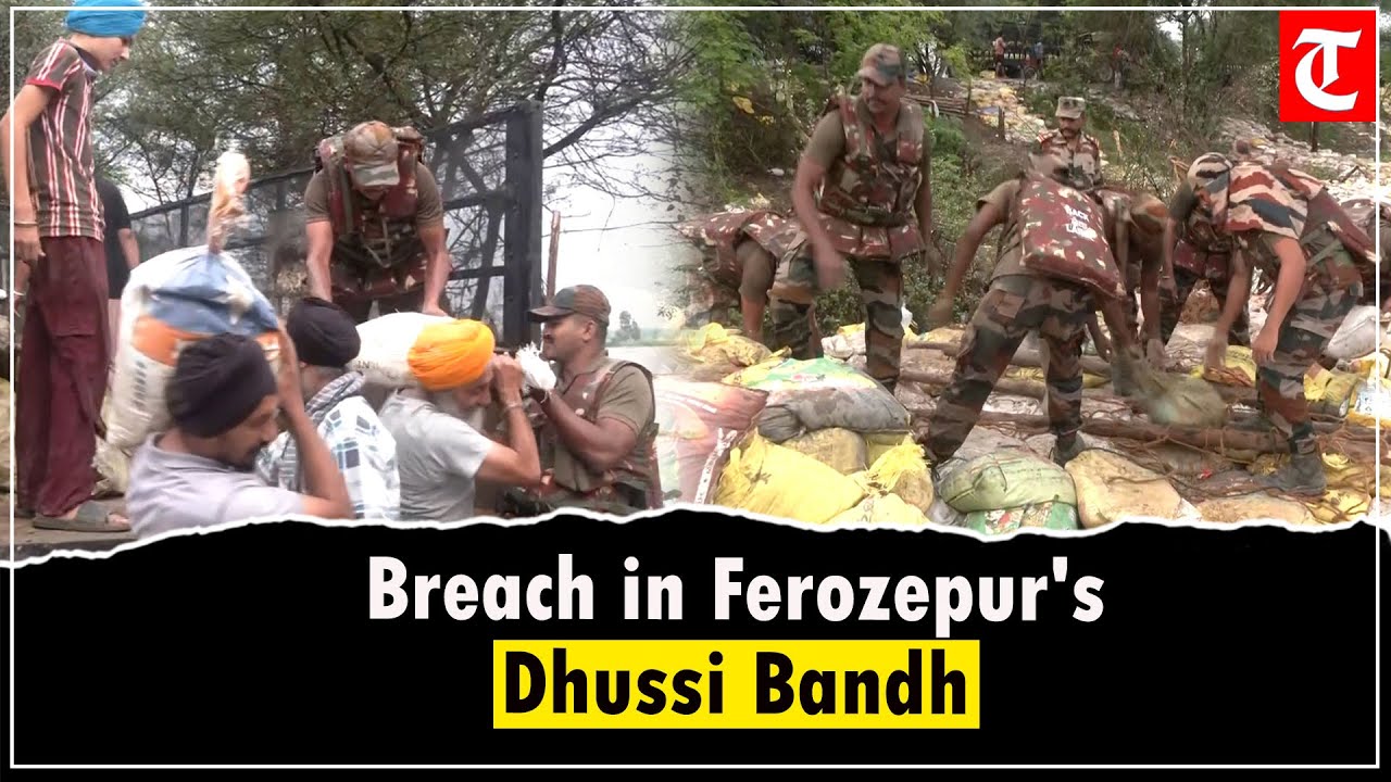 Flood situation In Ferozepur grim after breach near Habibke; Army, locals take up plugging work