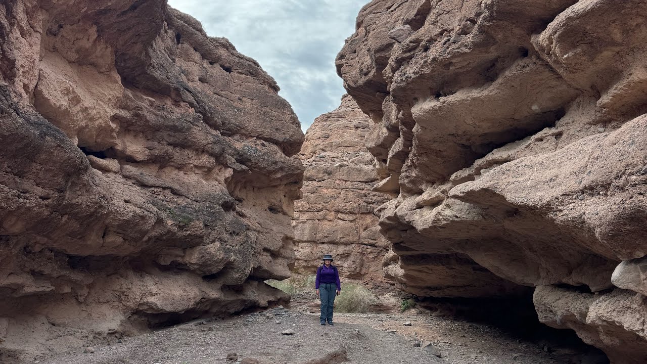 White Owl Canyon 2026
