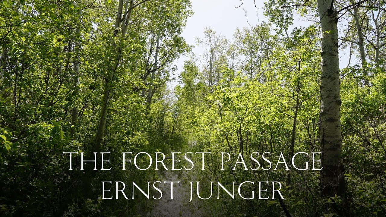 The Forest Passage - Ernst J&uuml;nger (Audiobook)