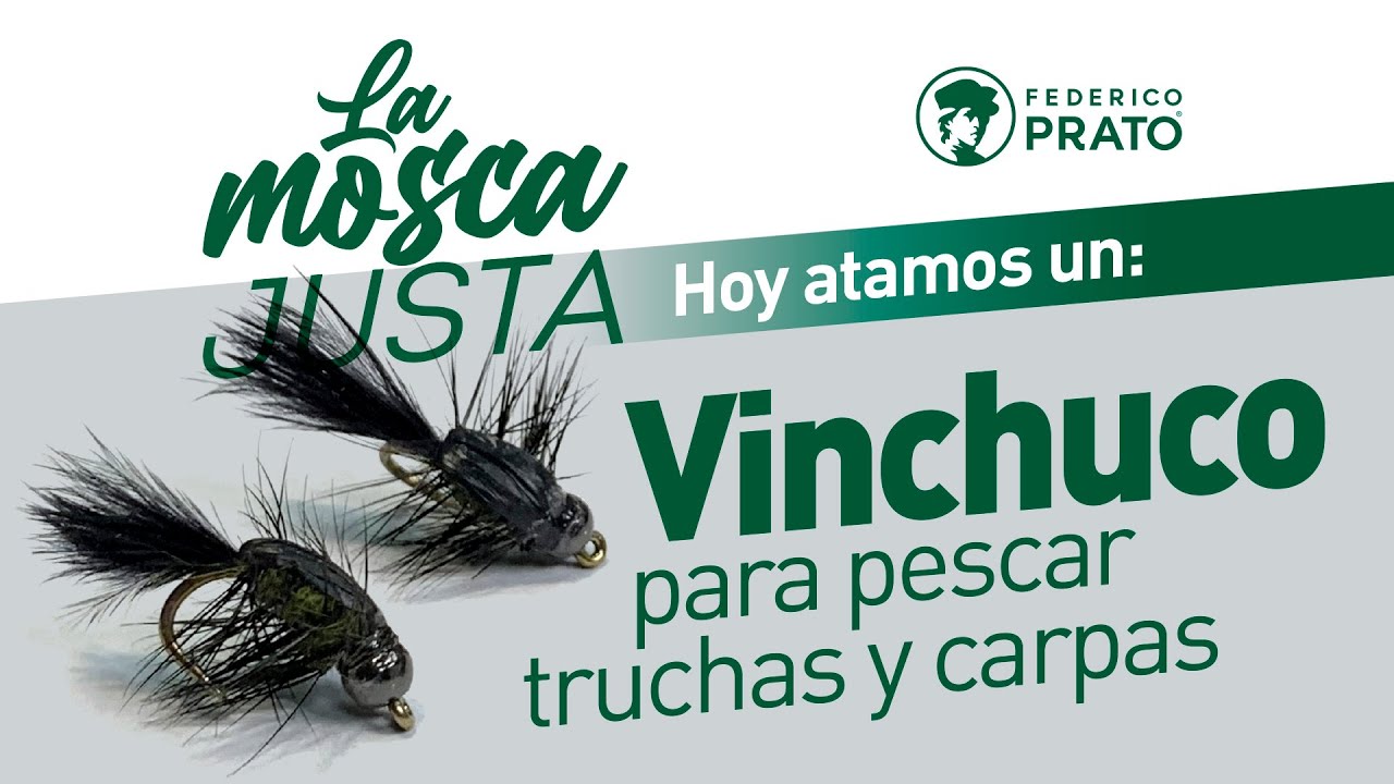 La Mosca Justa: atamos un 