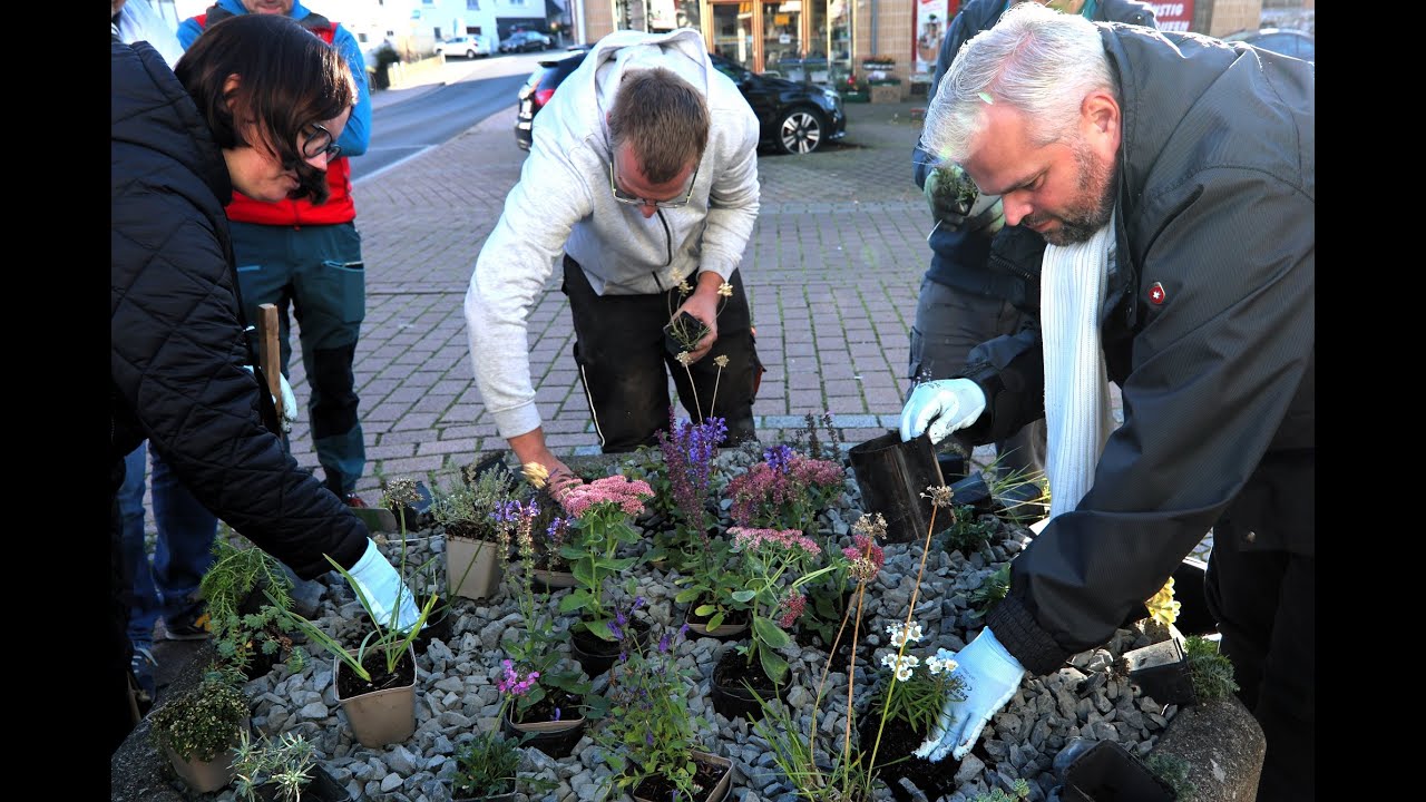 Schottergarten Rückbau durch sinnvolle Bepflanzung - die Stadt Baunatal macht es vor #schottergarten