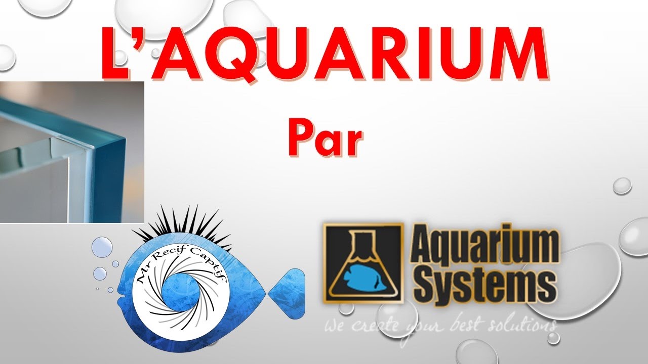 L aquarium présentation de ce produit d'Aquarium Systems - Mr Recif Captif #112