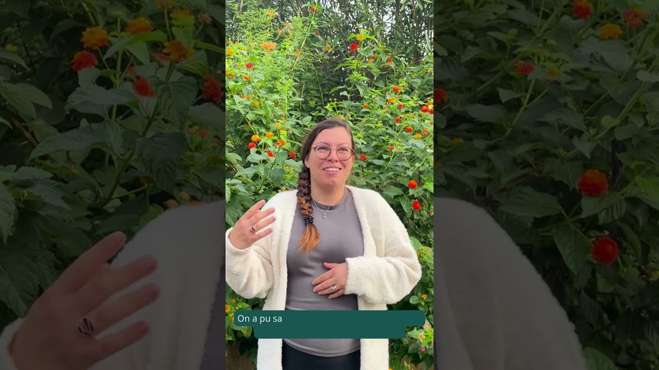 Présentation du CS Conduite de la production de plantes à parfum, aromatiques et médicinales.🌸
