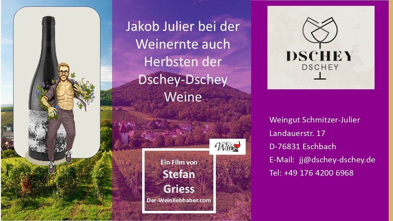 Mit dem Winzer Jakob Julier bei der Weinernte auch Herbsten der Dschey-Dschey Weine genannt.