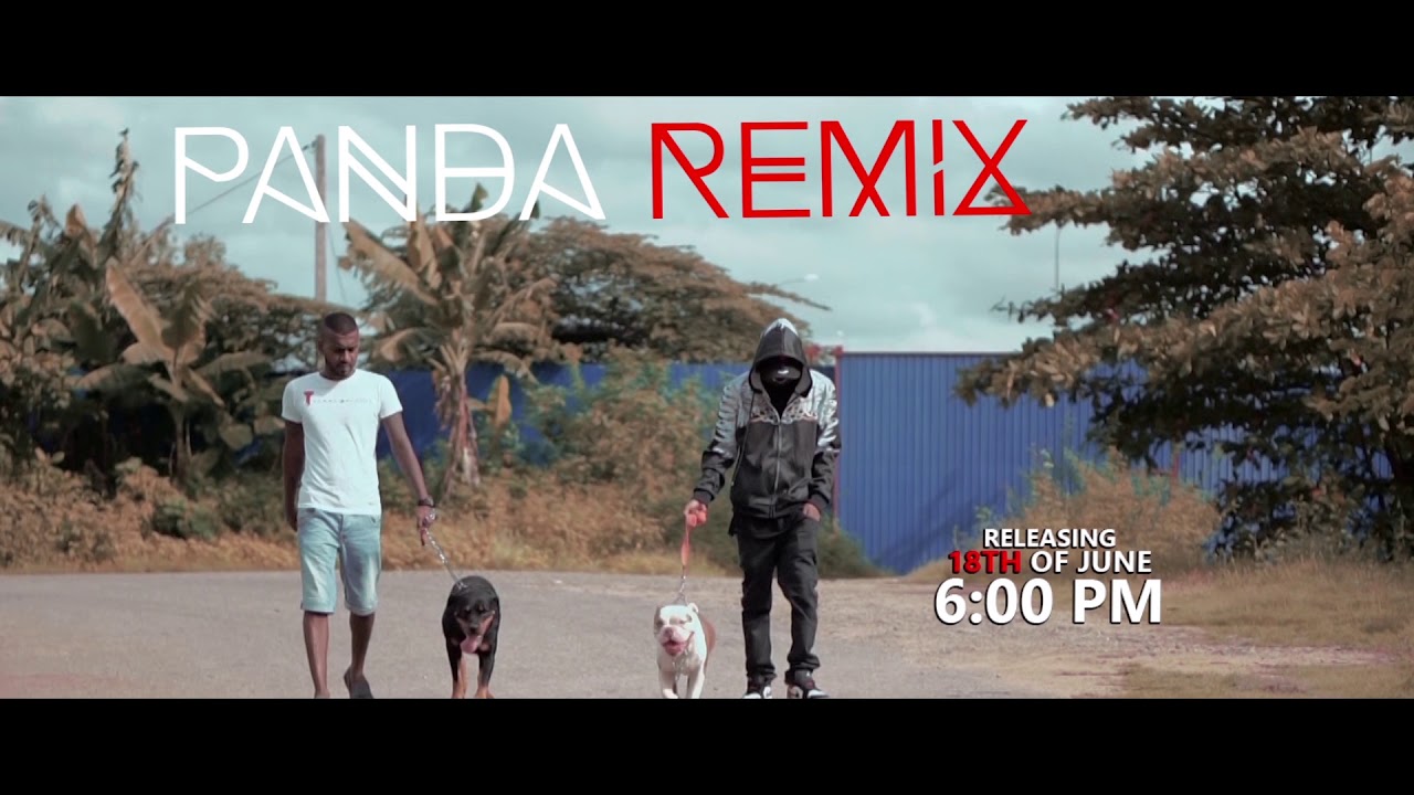 Shady Spades - Panda Remix | Date Announcement