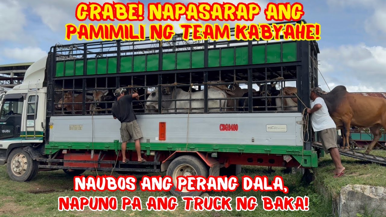 GRABE! NAPASARAP ANG PAMIMILI NG TEAM KABYAHE! NAUBOS ANG PERANG DALA, NAPUNO PA ANG TRUCK NG BAKA!
