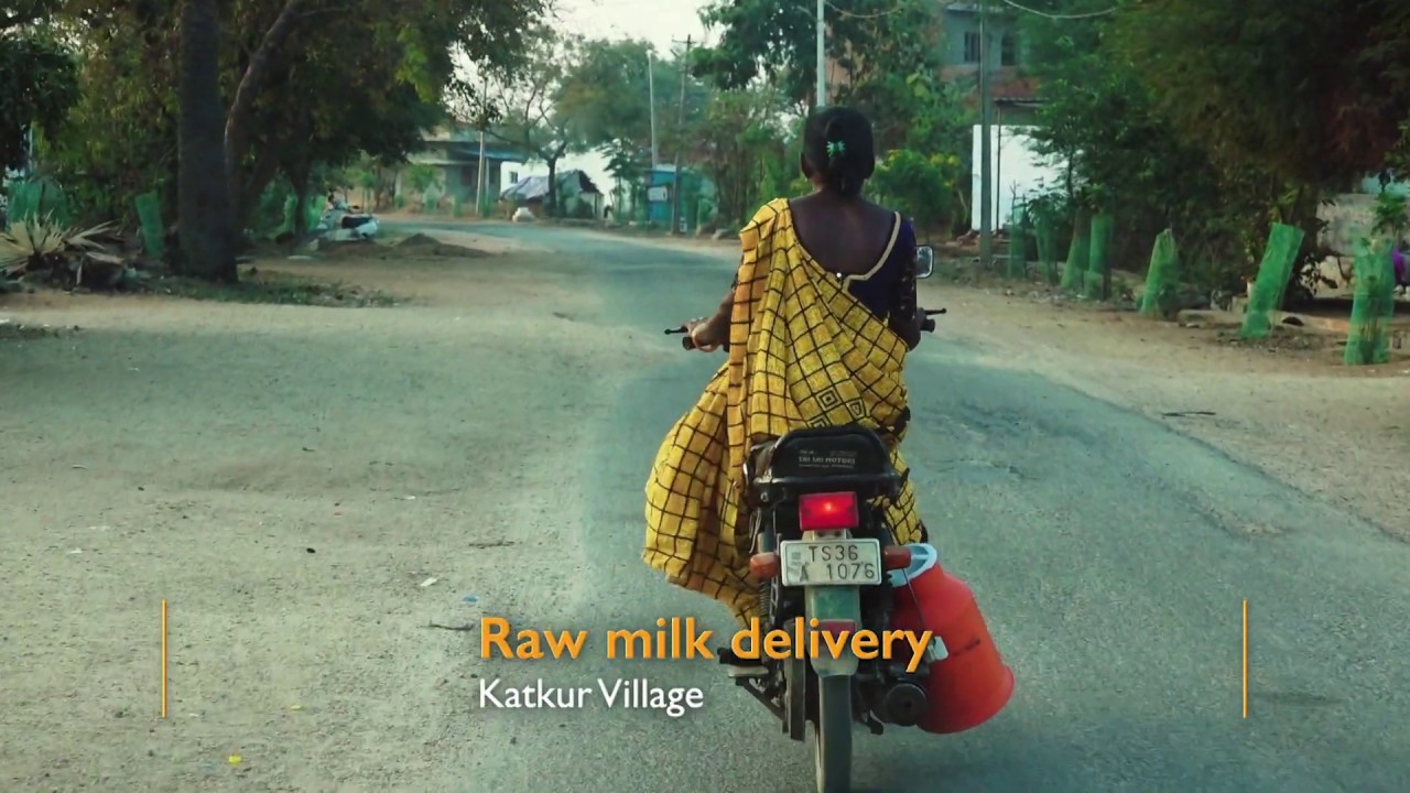 Raw milk delivery at India's Mulukanoor Women's Cooperative Dairy