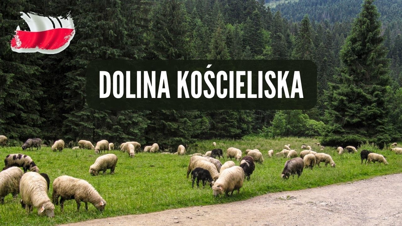 Tatry Zachodnie - Dolina Kościeliska - Hala Ornak - Jaskinie - Hala Stoły 08-06-2018