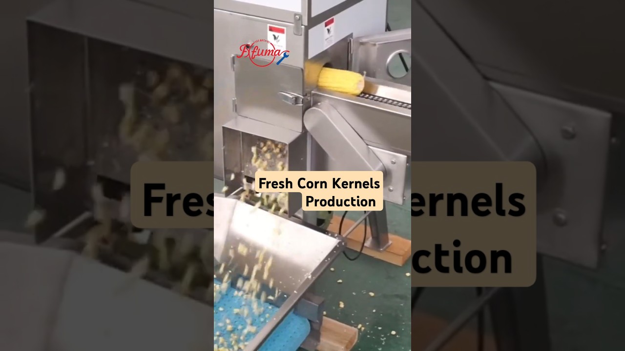 sweet corn kernels production line #cornkernels