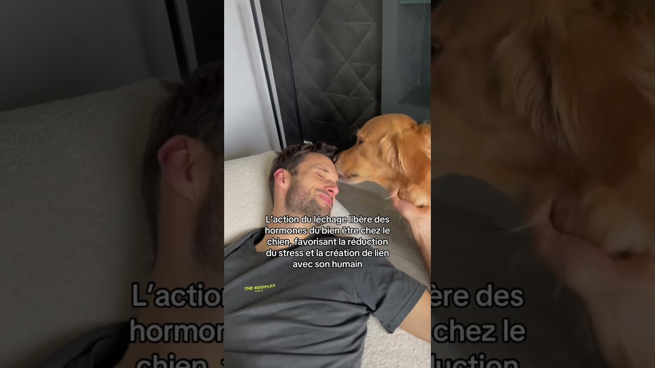 Appr&eacute;ciez les l&eacute;chouilles 👅