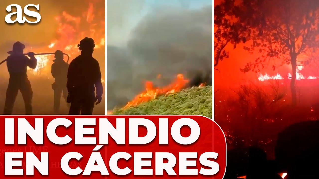 TODAS LAS IMÁGENES del INCENDIO de JARILLA en CÁCERES: más de 11.000 hectáreas CALCINADAS