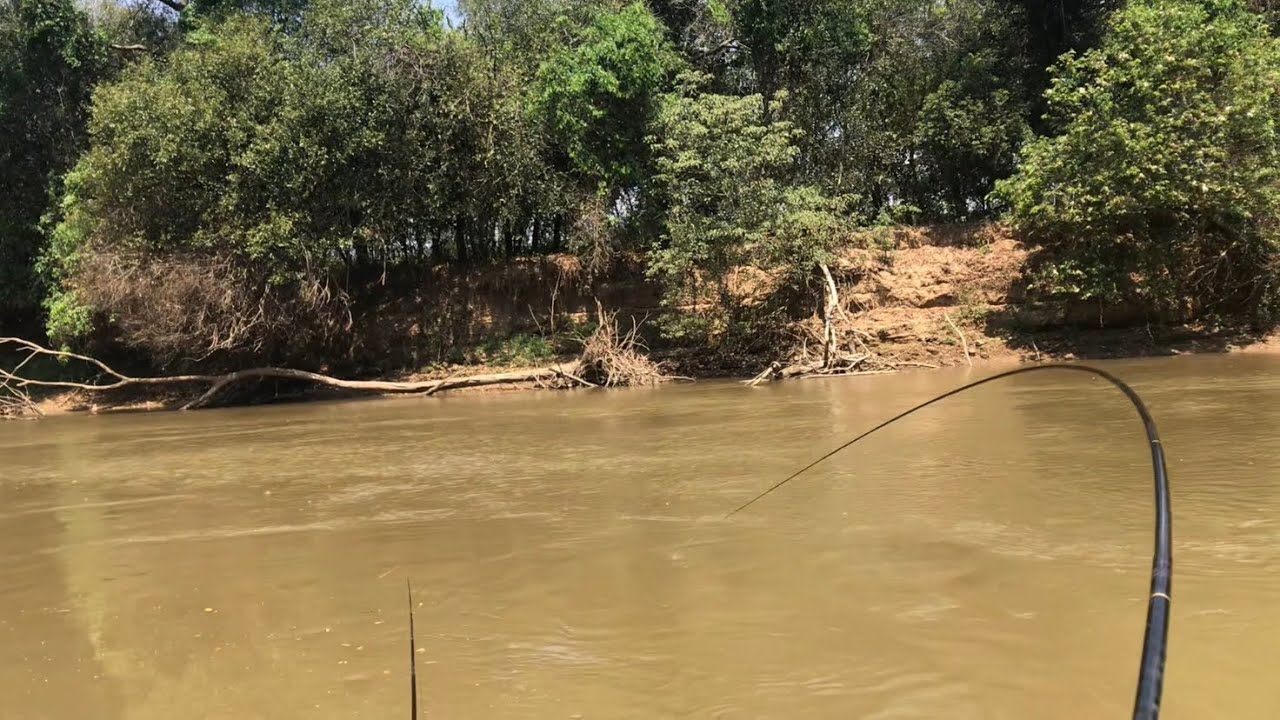PESCARIA RIO SAPUCAÍ!!! PIAPARA, PIAU E MANDI!