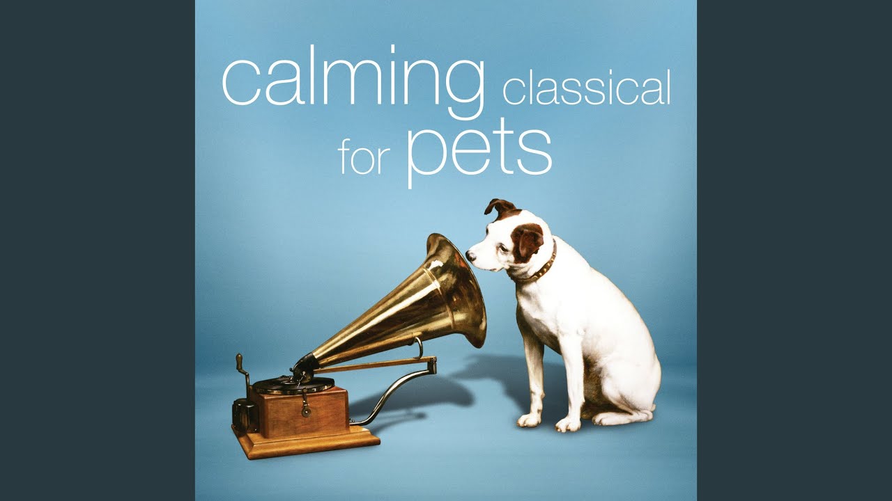 Orchestral Suite No. 3 in D Major, BWV 1068: II. Air