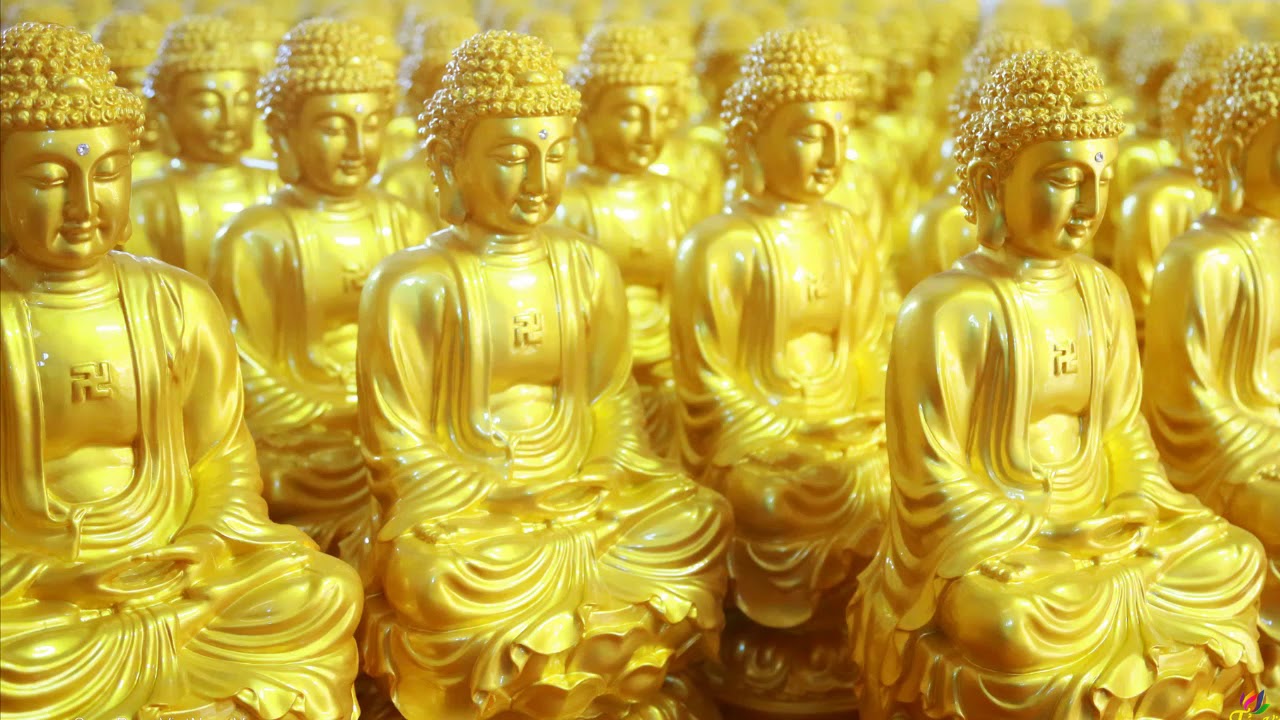 Lục căn , cội nguồn của trí tuệ - Phật học và đời sống