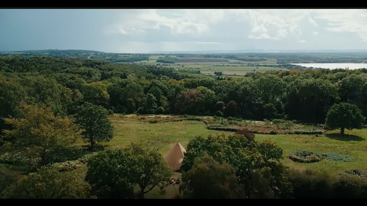 Imaginal Studios:  Reimagining Nature Finance
