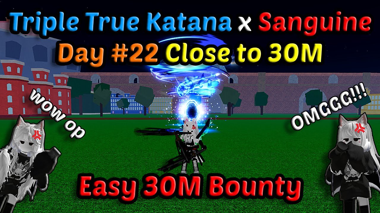 Day #22 From 2,5M Road to 30M With TTK Combo Portal Sanguine Blox Fruits Bounty Hunting