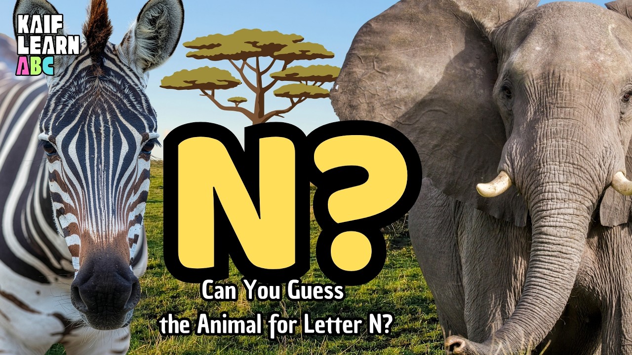 Can You Guess the Animal for Letter N? 🐘 A-Z Animal Adventure!
