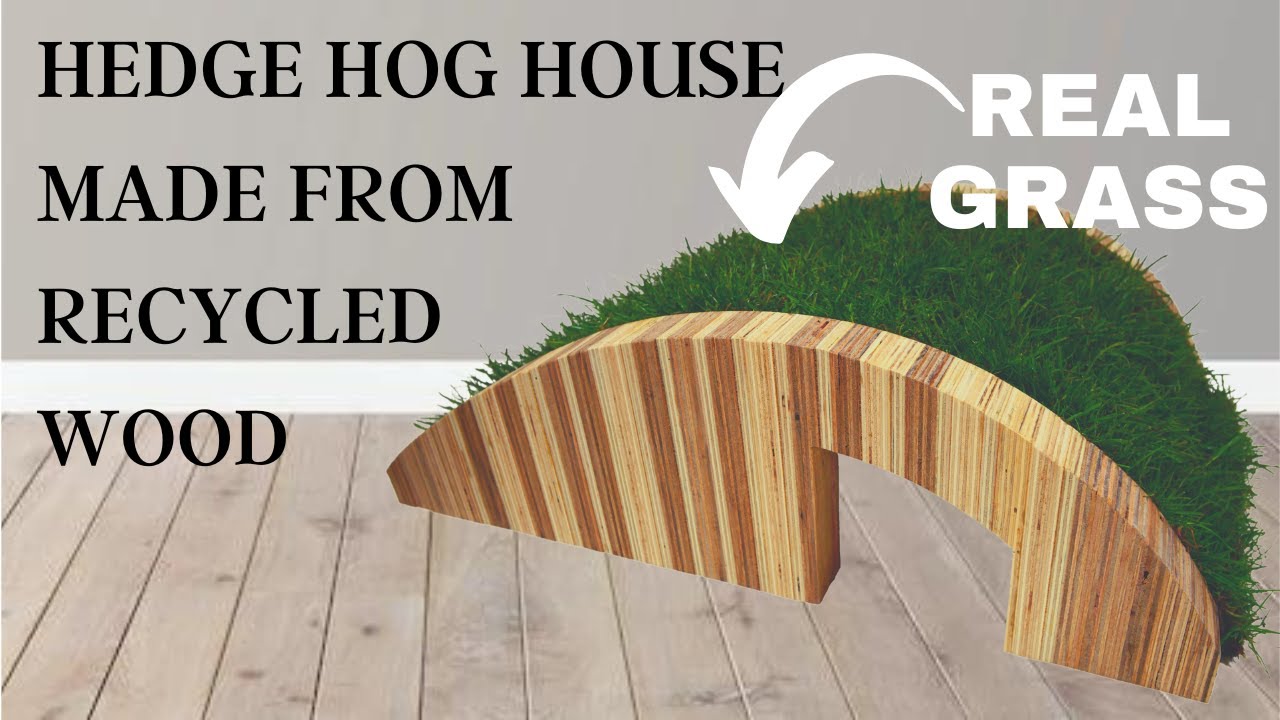 Woodworking Magic: Transforming Wood into a Dream Hedgehog House