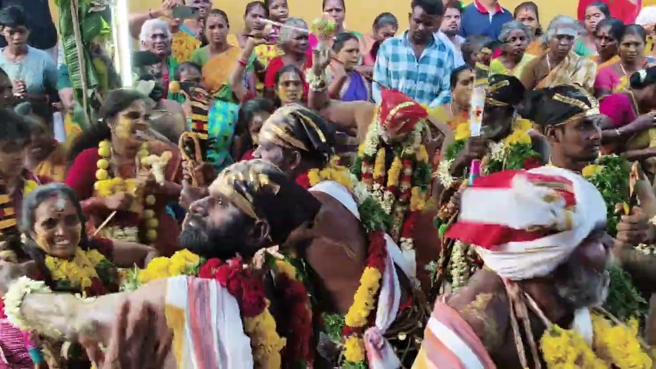 கருப்பச்சாமி ராக்காயி அம்மன் 2025 களரி பனையனேந்தல்
