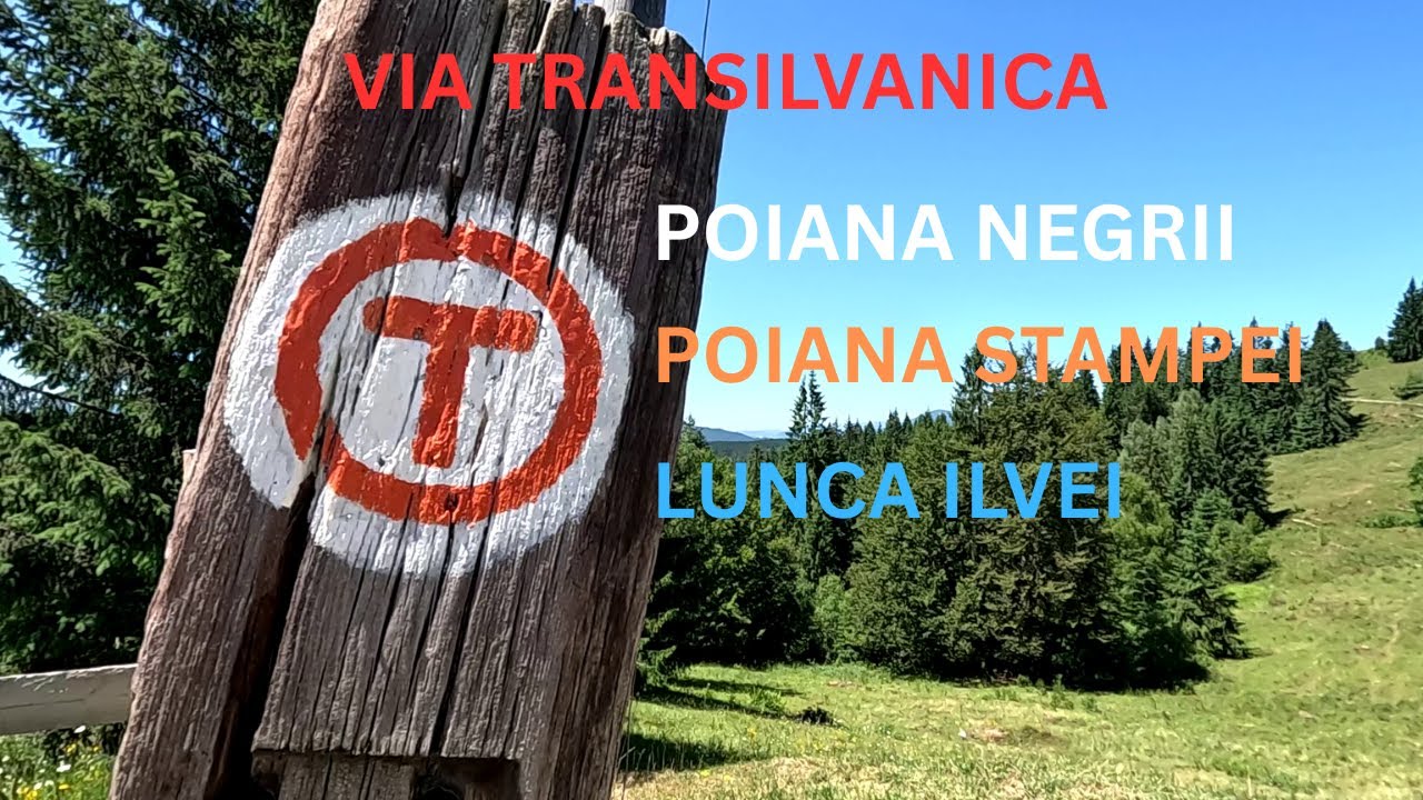 VIA TRANSILVANICA. Ziua a 5-a : Poiana Negrii~Poiana Stampei~Lunca Ilvei