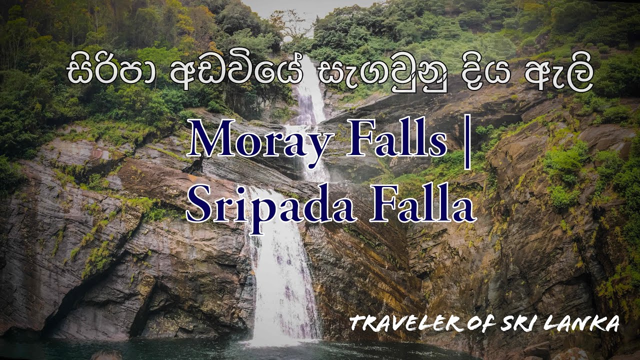 සිරිපා අඩවියේ සැගවුනු ශ්&zwj;රීපාද ඇල්ල | Moray Falls /Sripada Falls #Moray_Falls #SLWaterFalls #Travel