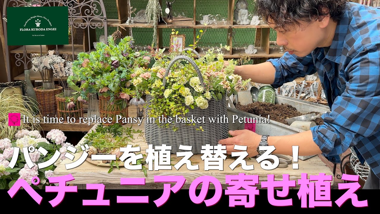 【秋冬のパンジーを植え替える！】冬大人気だったバッグバスケットに／可愛いペチュニアの寄せ植え【春のガーデニング】-フローラ黒田園芸- ガーデニング　園芸　花壇　庭　寄せ植え #ガーデニング #園芸