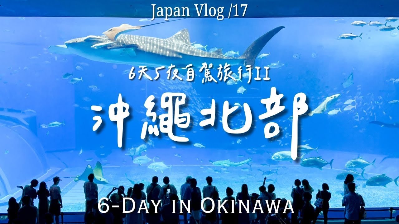 🇯🇵 沖繩北部｜名護暖暮拉麵/美麗海水族館 🐬/古宇利島蝦蝦飯/名護自然動植物公園｜沖繩自駕遊🚗
