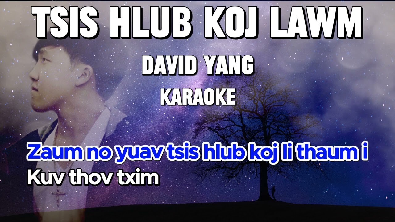 Tsis Hlub Koj Lawm - David YangCover  [ Karaoke / Instrumental ]🎤