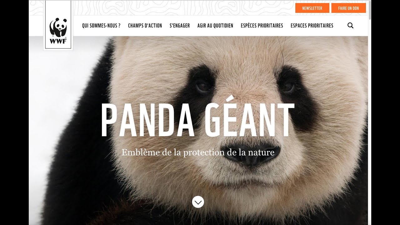 WWF France