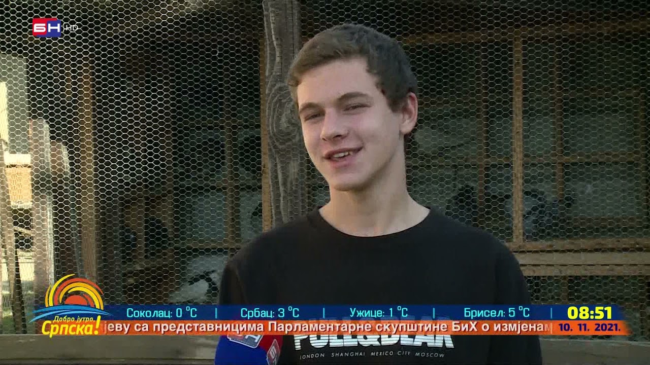 Njegoš Kokotović, golubar iz Bijeljine (BN TV 2021) HD