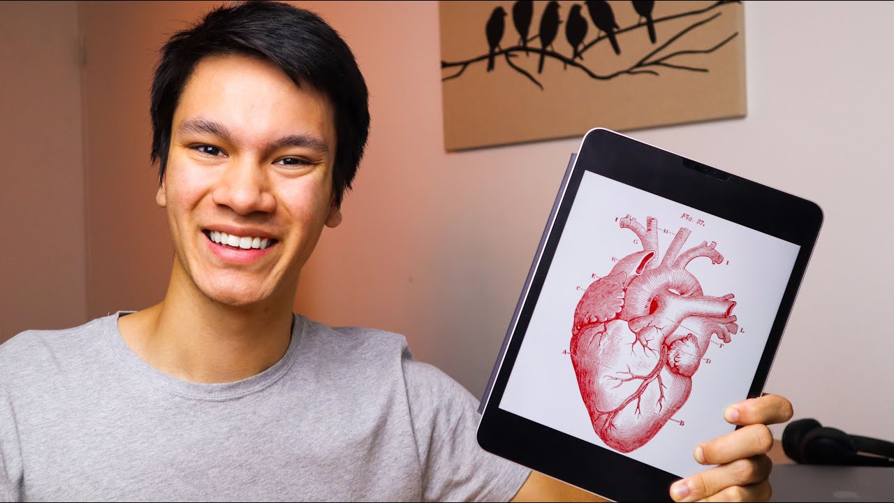 How to ACE the UCAT These Holidays For 2021 Year 12s (Australia Med School)