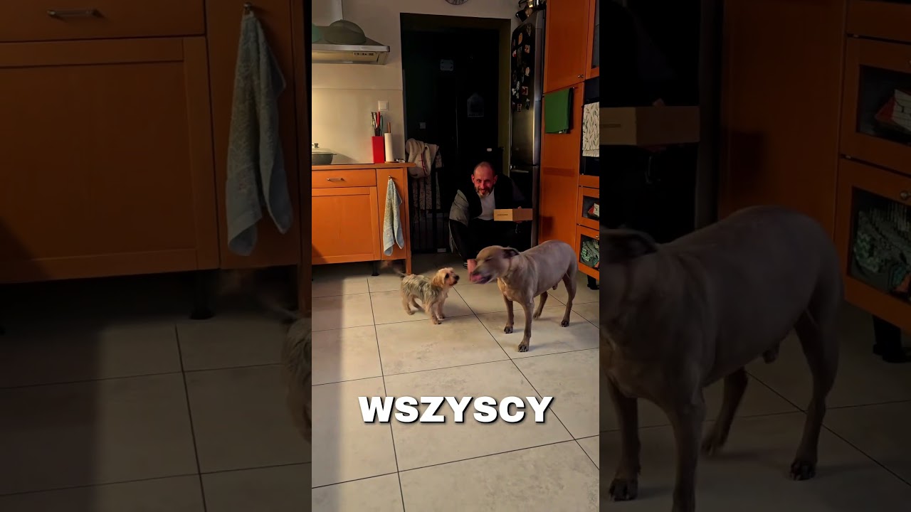 We're so happy when uncle comes back! 🤣🐾🍩