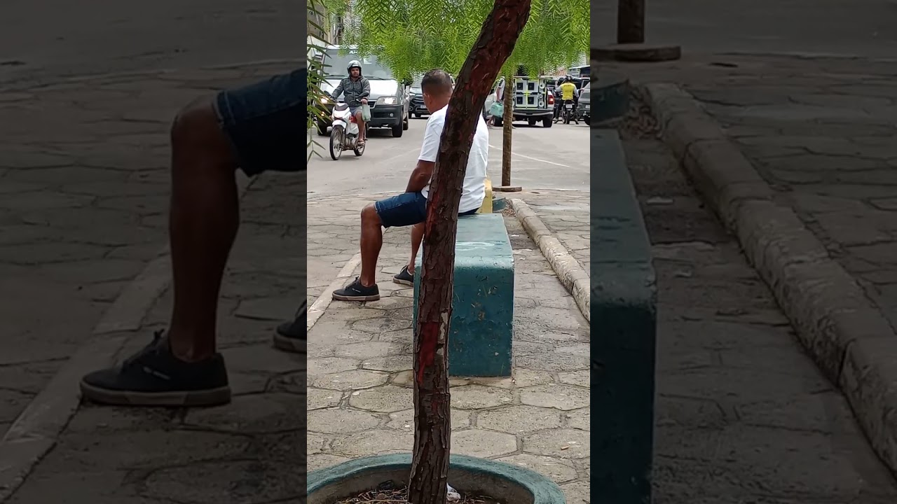 31 de janeiro de 2026