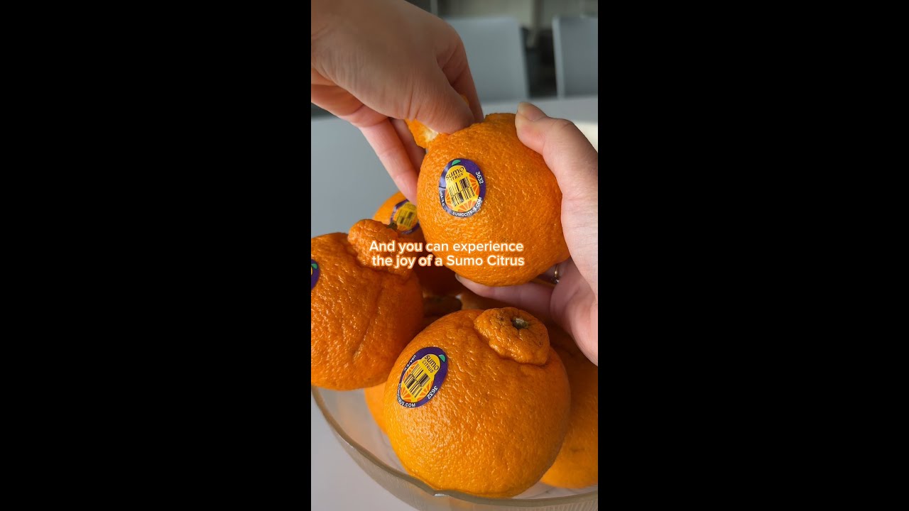 Legendary Taste of Sumo Citrus