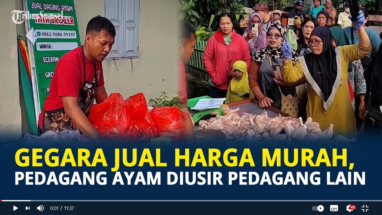 Viral Pedagang Ayam Diusir Pedagang Lain di Yogyakarta Gegara Jual Harga Murah