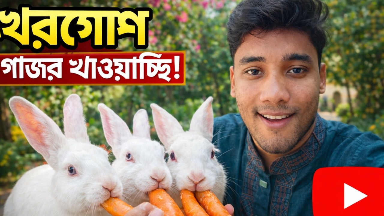 আমার খরগোশদের গাজর খাওয়ানো 🐰🥕 | Cute Rabbit Feeding | Rabbit Farm Bangladesh