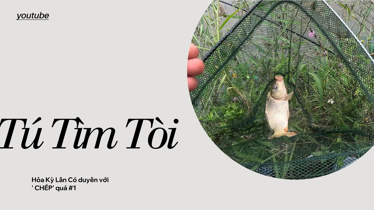 TEXT CẦN 