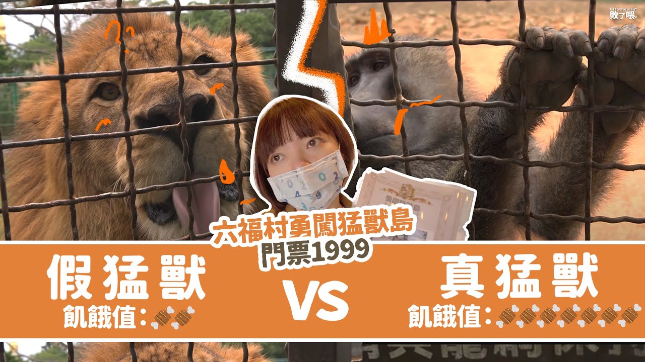 【六福村勇闖猛獸島】能近距離餵食兇猛野獸！猴子比獅子還兇！｜完整訂票報到攻略｜敗了喂Bitetheway #六福村猛獸籠車 #六福村動物園