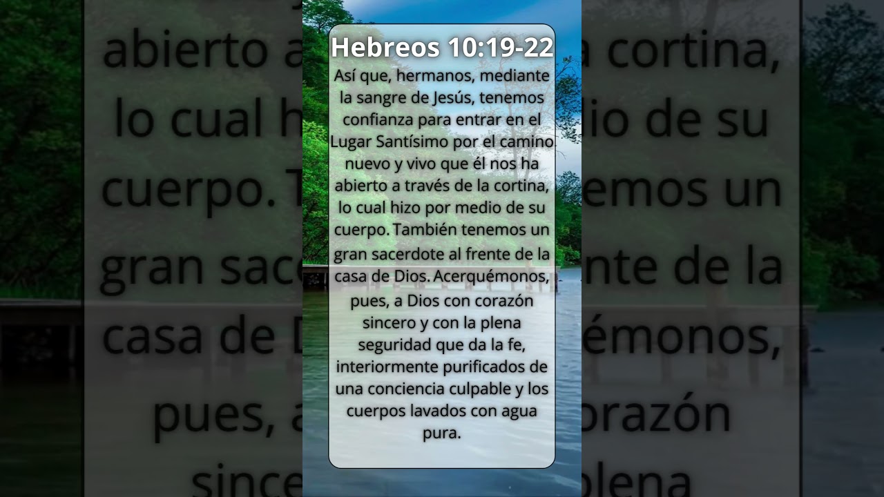 Hebreos 10:19-22 #amor #bible #shorts