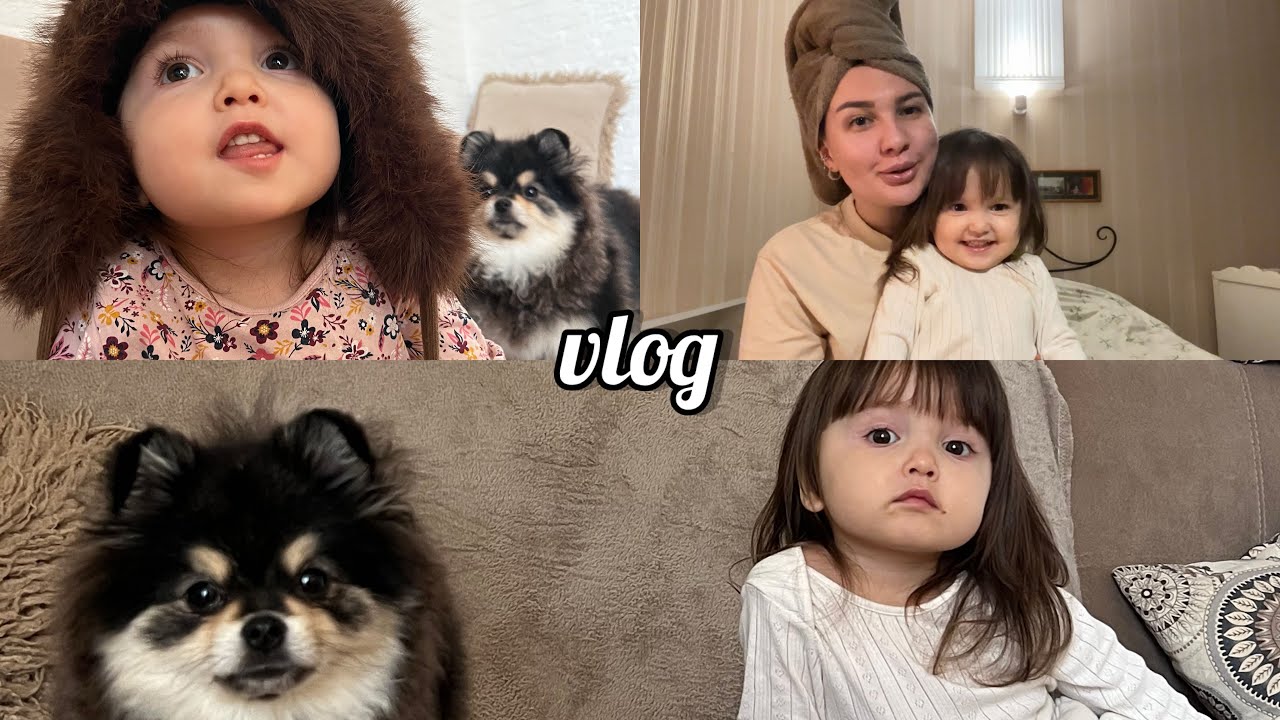 BUNU DEMƏLİYƏM… 🐶💔YENİ AİLƏ ÜZVÜ 🤍 | KAMISEMY VLOG