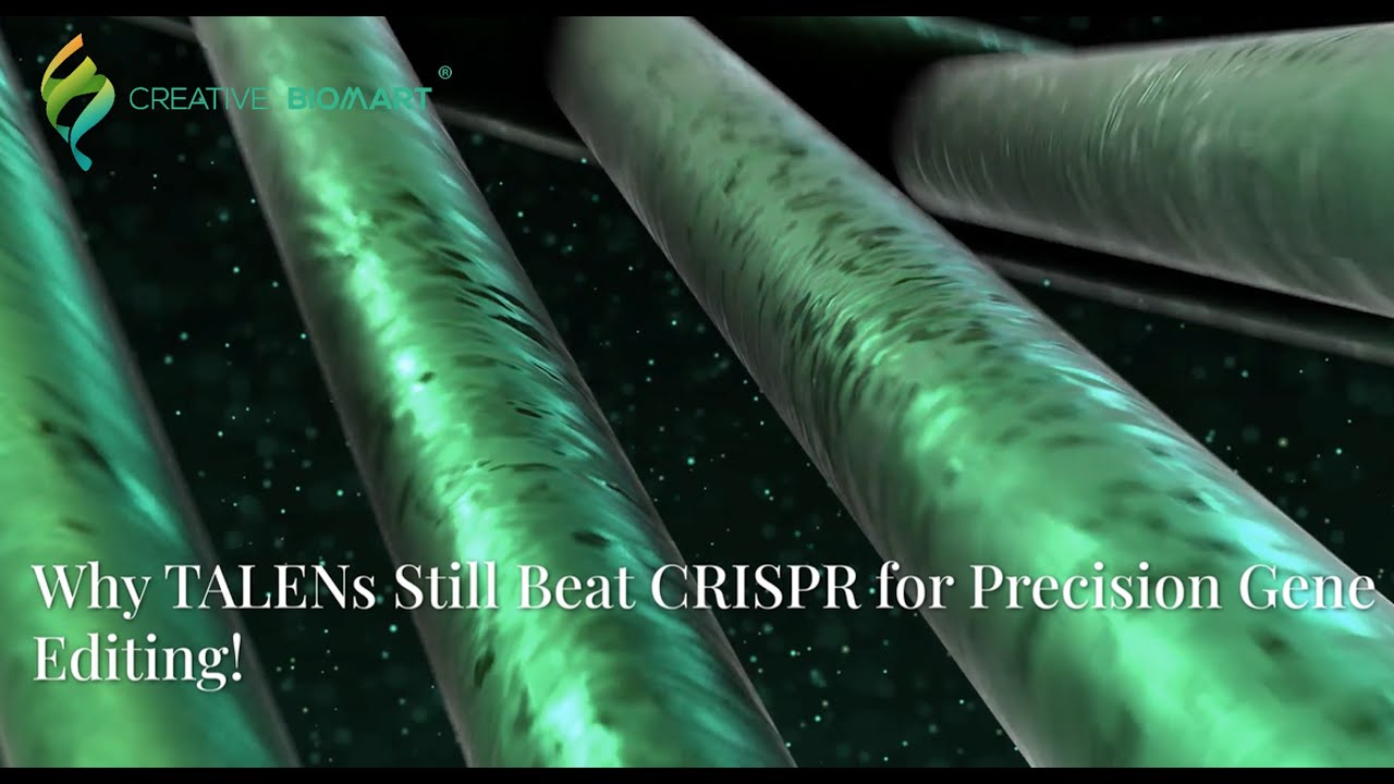 Why TALENs Still Beat CRISPR for Precision Gene Editing!