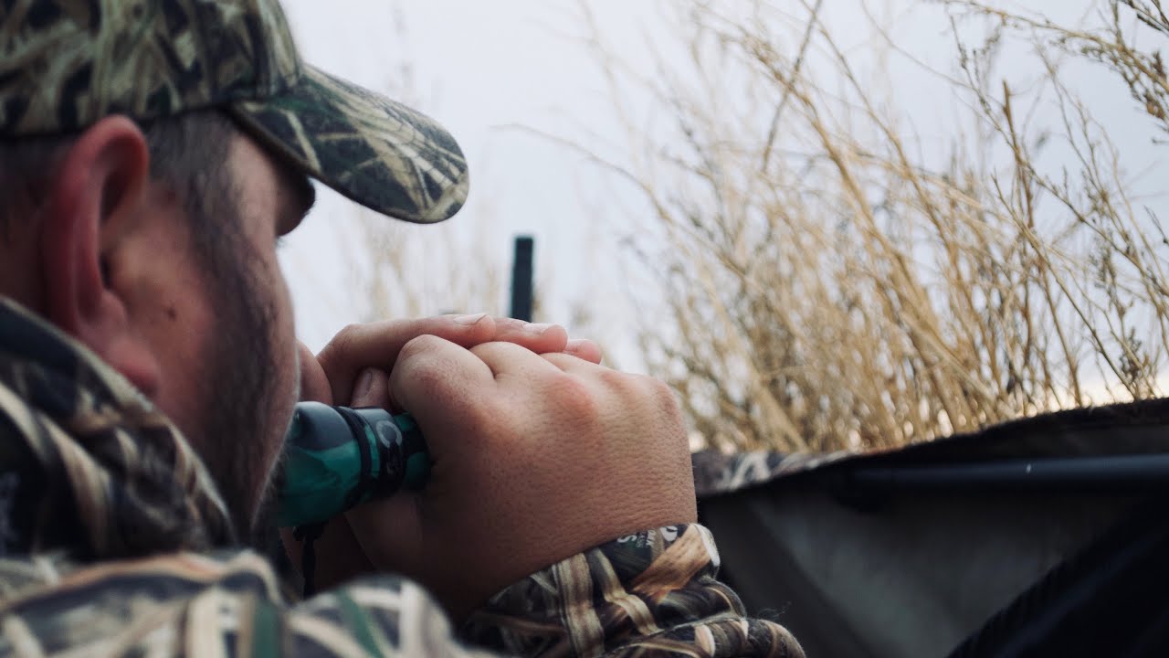 Goose calling tips The &ldquo;Honk&rdquo;