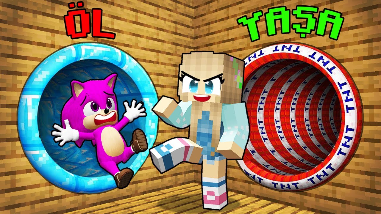KIZ BEBEK SONİC VS BERCA DOĞRU KAPIYI SEÇME SAVAŞI 😨 Minecraft