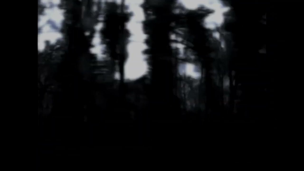 She Past Away - Katarsis (Instrumental)