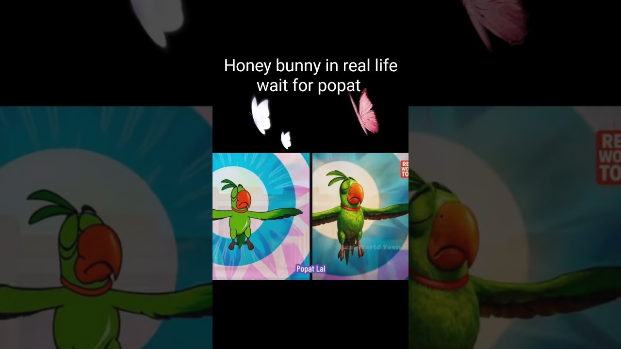 Honey bunny in real life #shortvideo #shorts #funny