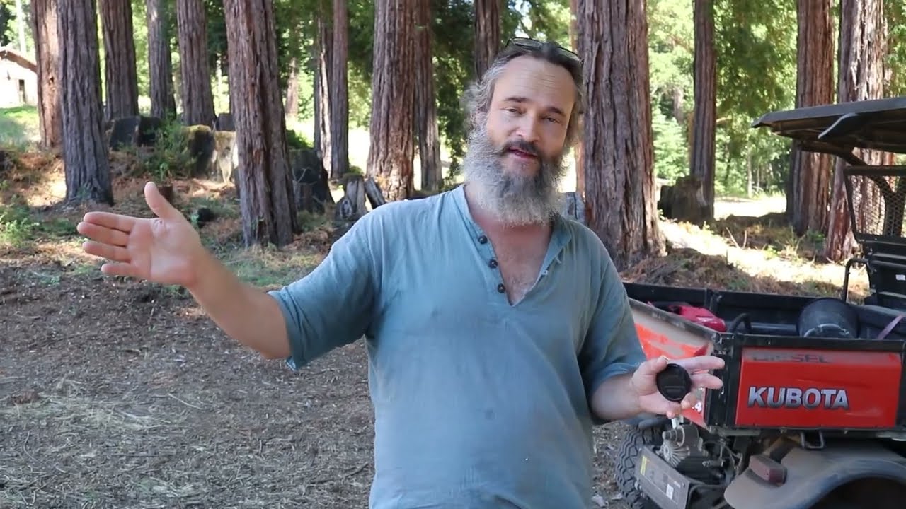 How to grow PESTICIDE-FREE - Cannabis by working with Predatory Insects for Pest Management!