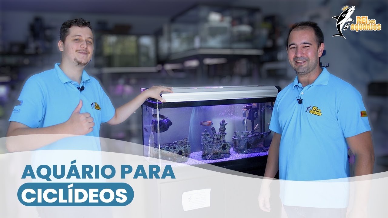 AQUARIO BOYU - NÃO COMPRE antes de ver esse VÍDEO #REIDOSAQUARIOS