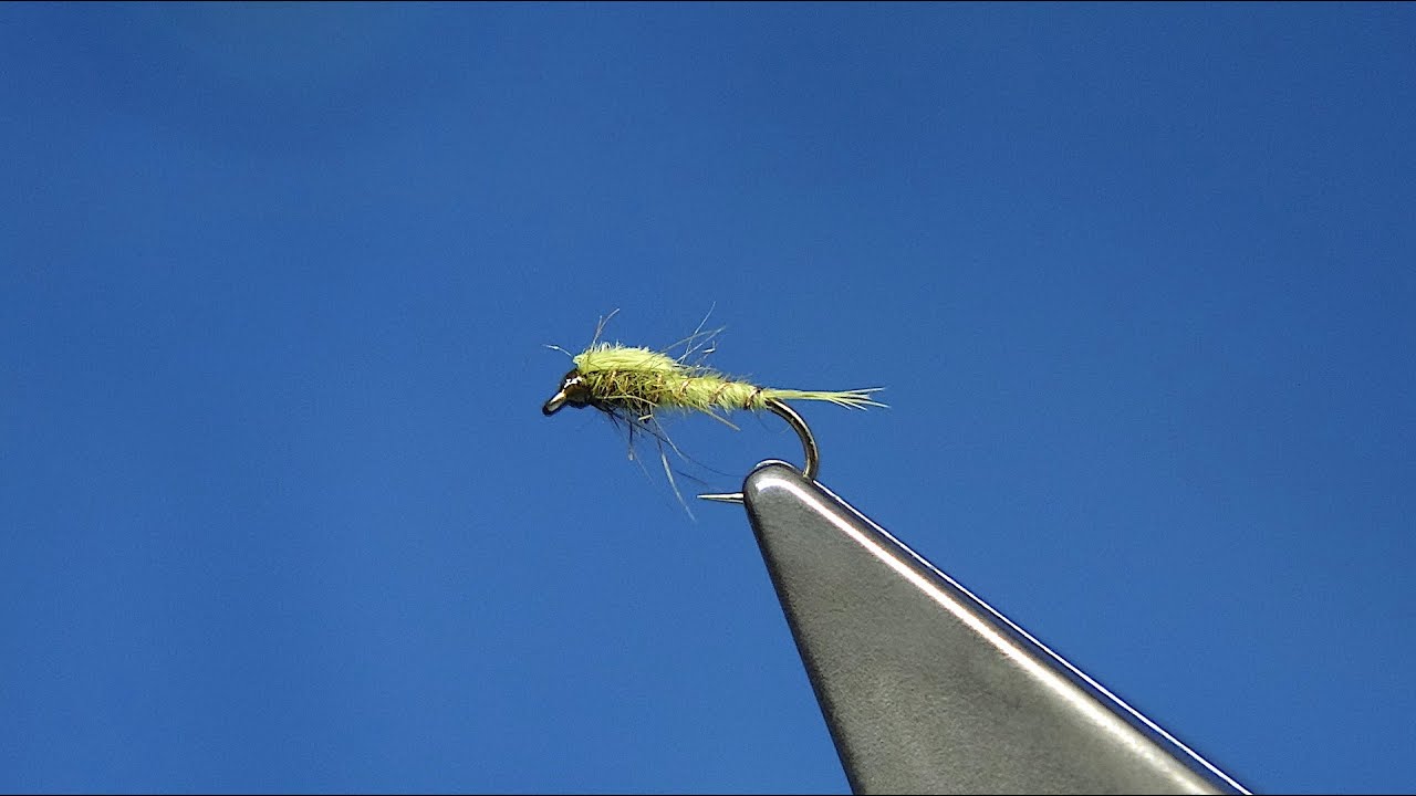 Tying a Small Olive Pheasant Tail Nymph with Davie McPhail